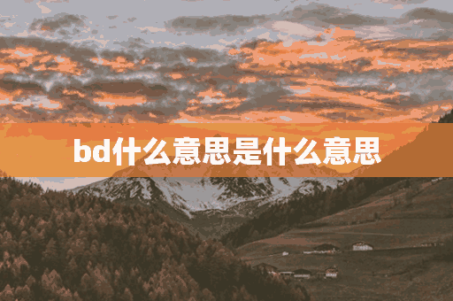 bd什么意思是什么意思(bd是啥意思)